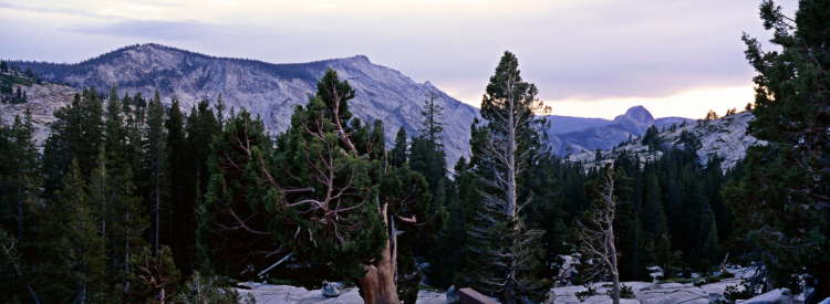 Yosemite6w
